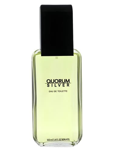 Antonio Puig Quorum Silver perfume bottle