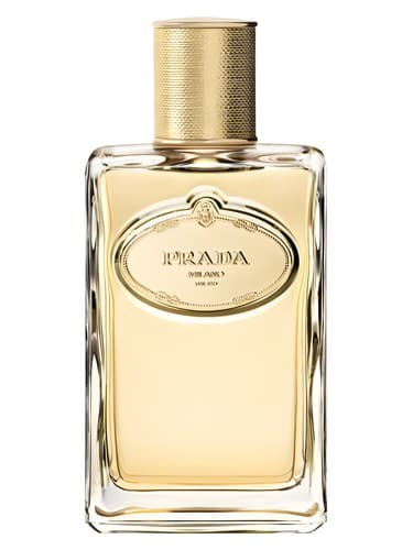 Prada Infusion d'Iris Eau de Parfum Absolue perfume bottle