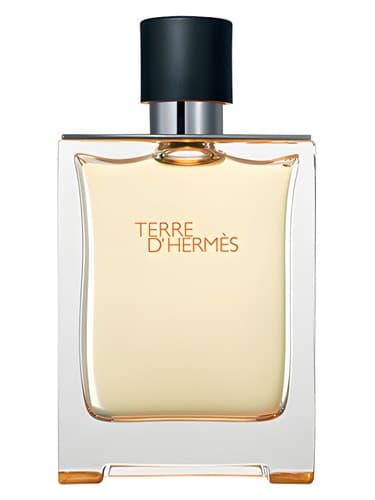 Hermès Terre d'Hermès perfume bottle