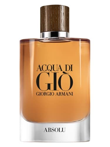 Giorgio Armani Acqua di Giò Absolu perfume bottle