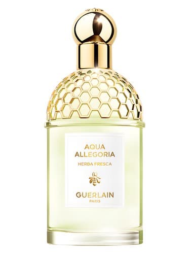 Guerlain Aqua Allegoria Herba Fresca perfume bottle