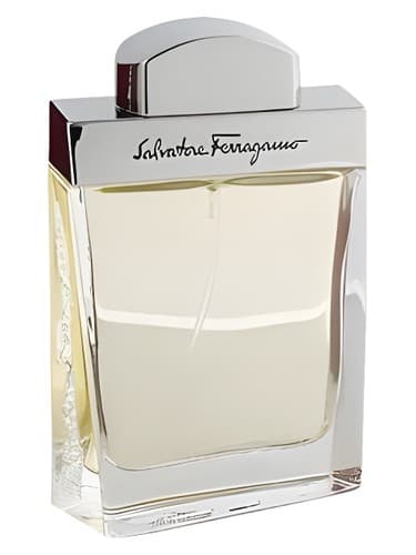 Salvatore Ferragamo Salvatore Ferragamo Pour Homme perfume bottle