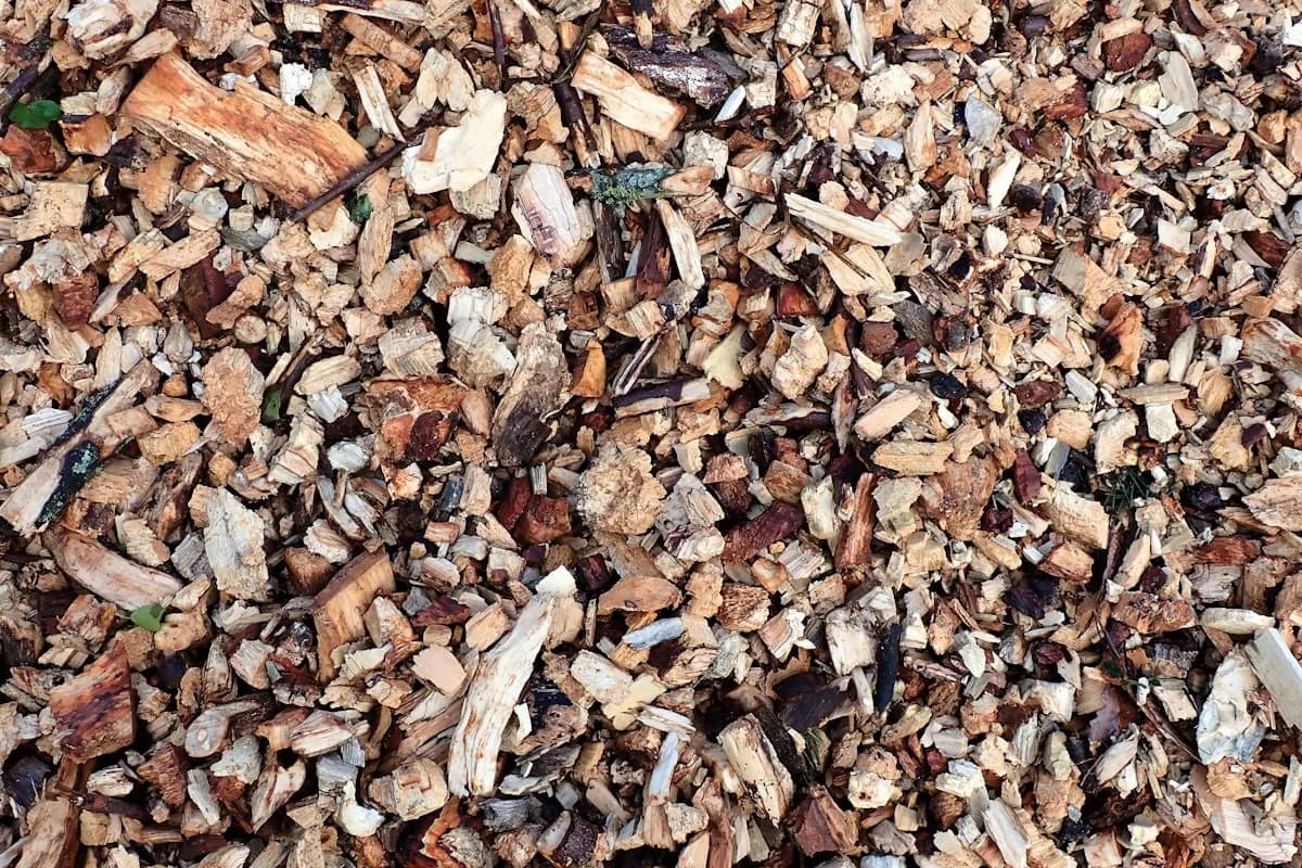 Close-up pile of dark wood chips — cedar and sandalwood note editorial