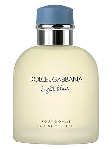 Dolce&Gabbana Light Blue pour Homme perfume bottle