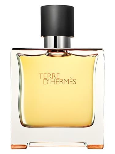 Hermès Terre d'Hermes Parfum perfume bottle